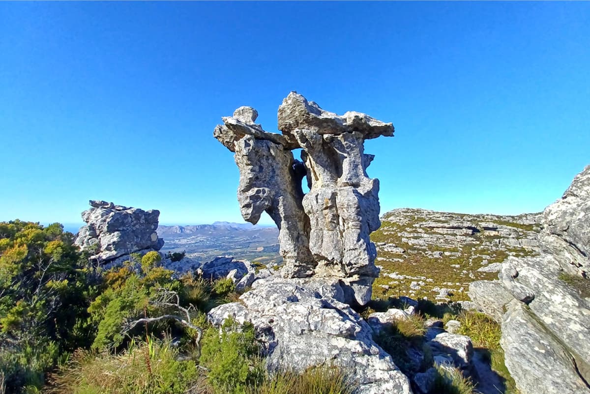 The Camel Rock — a wind-sculpted sandstone formation on Table Mountain's Back Table, looking south toward the Constantia valley and False Bay
