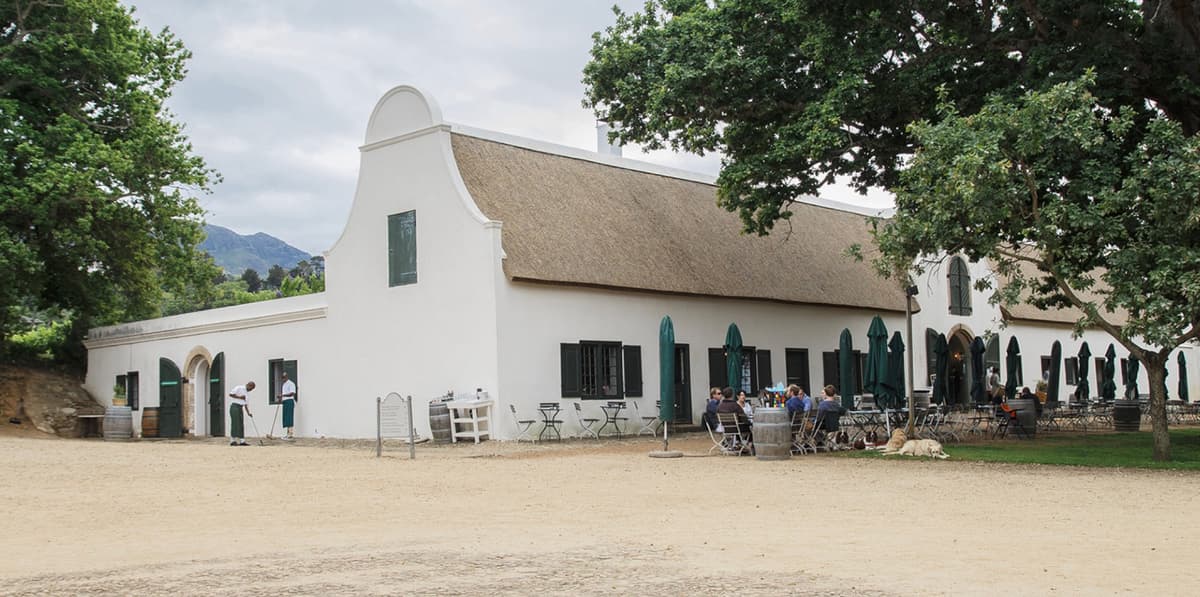 The Jonkershuis at Groot Constantia — the whitewashed Cape Dutch building with thatched roof and green shutters, diners gathered at tables under the oaks, the mountain ridge behind