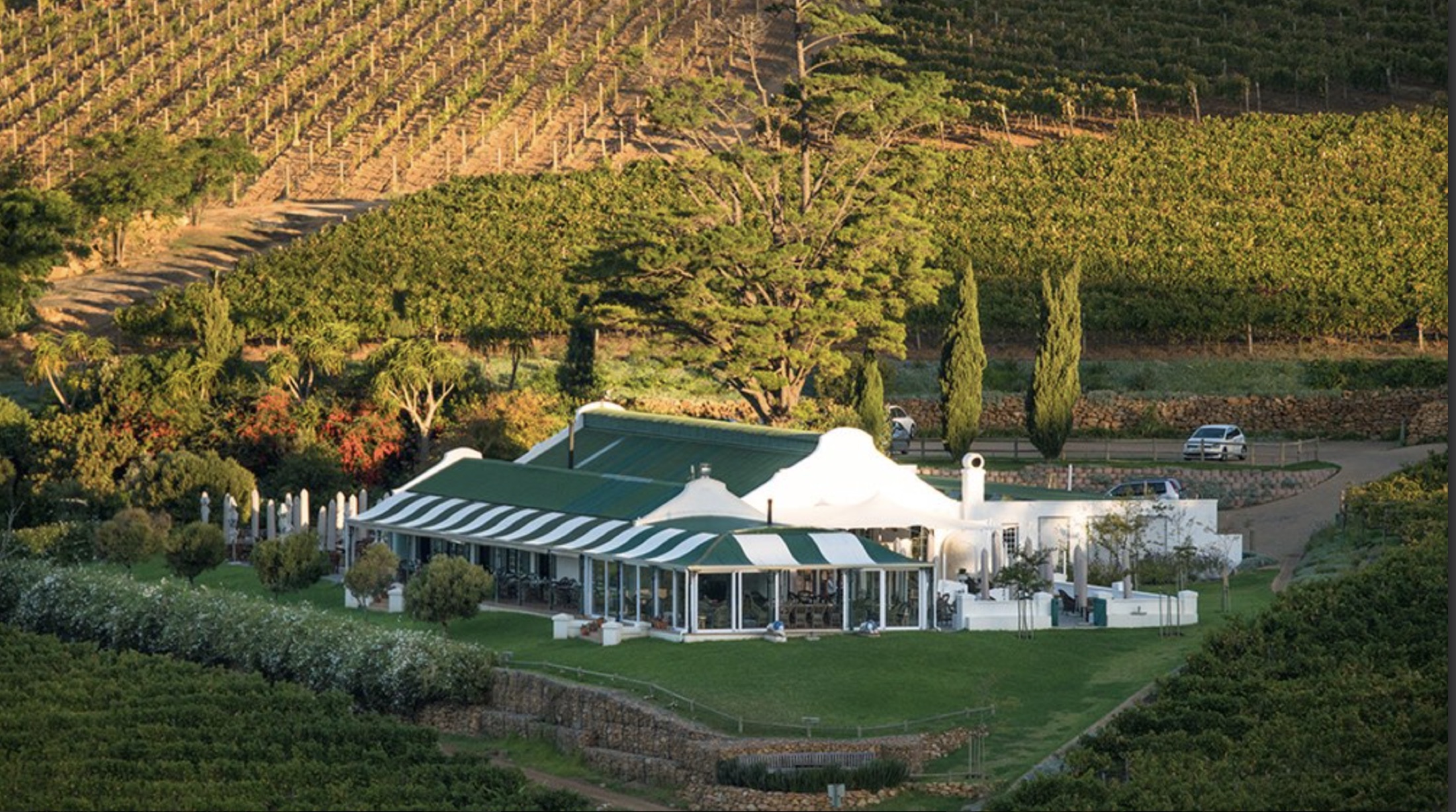Aerial view of Constantia Glen — the cottage-style restaurant with green-striped umbrellas, surrounded by terraced Bordeaux-row vineyards on the slopes of Constantiaberg