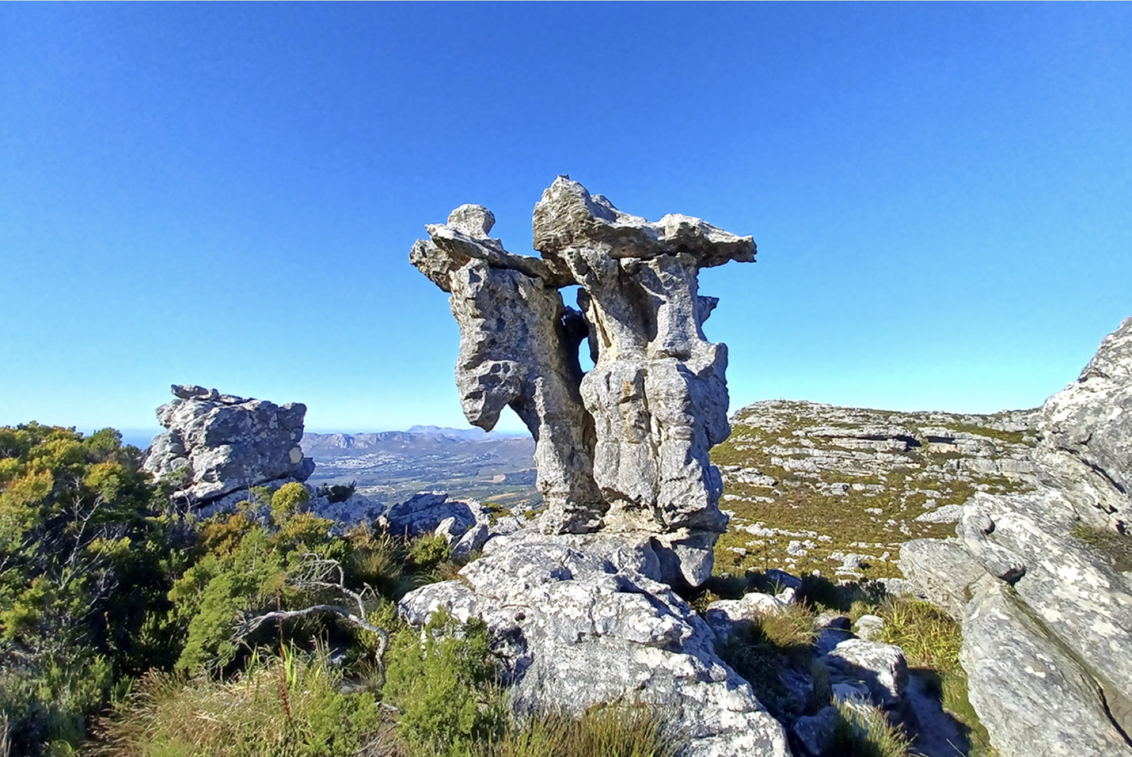 The Camel Rock — a wind-sculpted sandstone formation on Table Mountain's Back Table, looking south toward the Constantia valley and False Bay