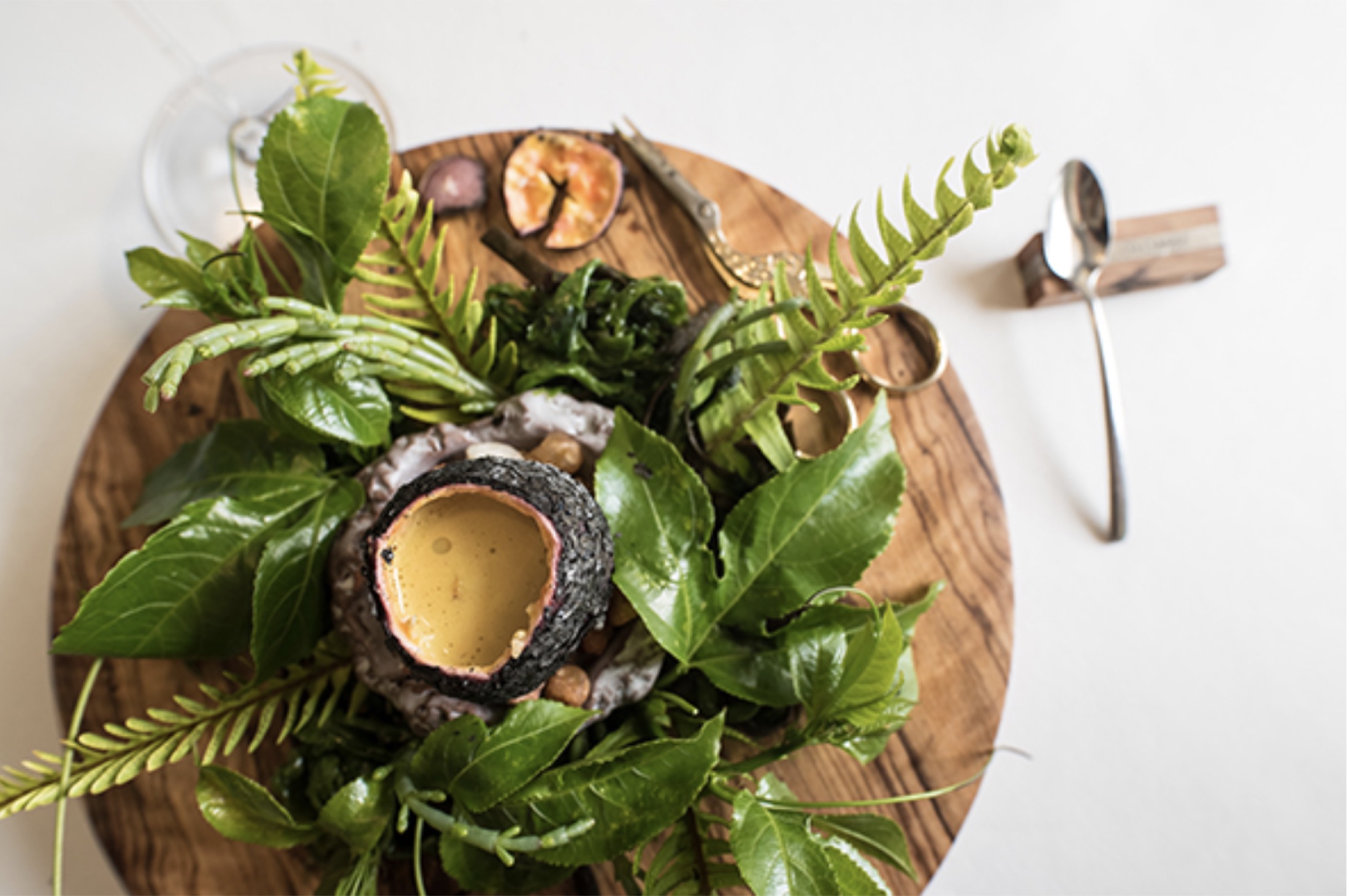 A signature La Colombe course — a charred coconut shell of broth nested in a forest of fresh ferns and herbs on a polished wooden board
