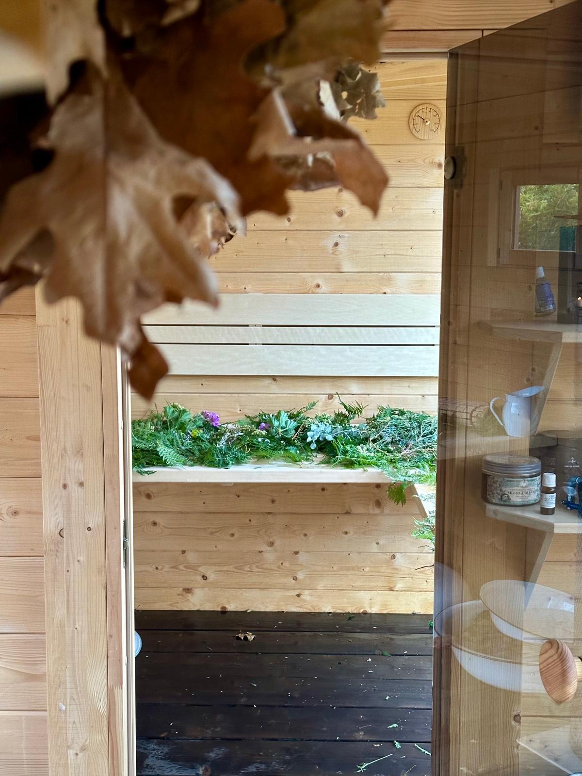 Through the sauna doorway — herbs laid along the bench, oak leaves hanging in the foreground.